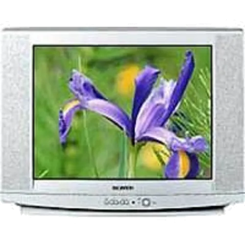 Замена материнской платы Samsung CS-29U2 WTR