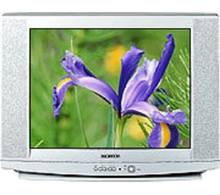 Замена материнской платы Samsung CS-29U2 R