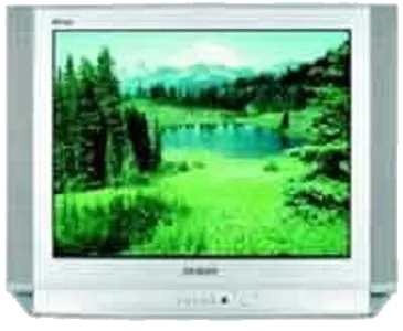 Замена материнской платы Samsung CS-29D8 WTR