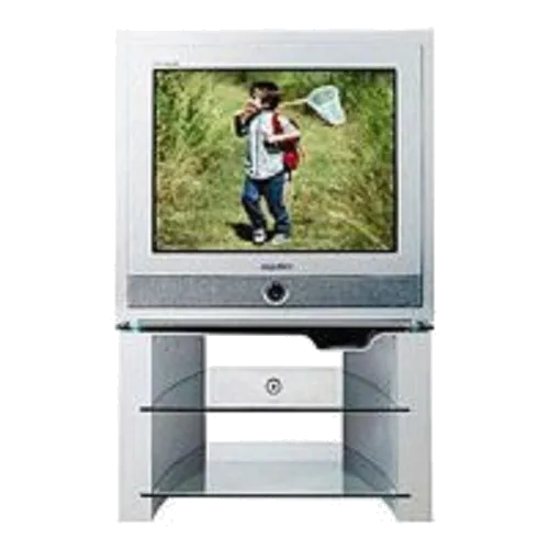 Замена материнской платы Samsung CS-29Z6HPQ