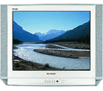 Замена материнской платы Samsung CS-25D8 R