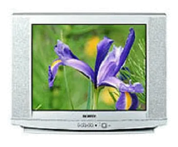 Замена материнской платы Samsung CS-29U2 WTQR